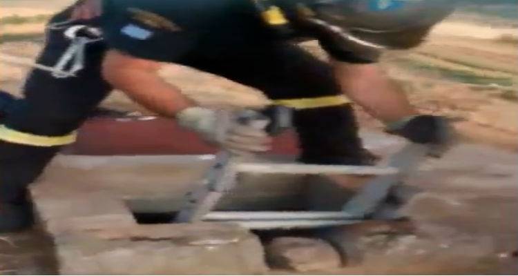 &Lambda;ή&mu;&nu;&omicron;&sigmaf;: &Tau;&upsilon;&chi;&epsilon;&rho;ά &delta;&upsilon;&omicron; &mu;&iota;&kappa;&rho;ά &gamma;&alpha;&tau;ά&kappa;&iota;&alpha; &pi;&omicron;&upsilon; έ&pi;&epsilon;&sigma;&alpha;&nu; &sigma;&epsilon; &pi;&eta;&gamma;ά&delta;&iota;