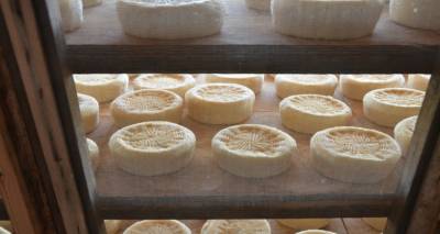 TasteAtlas: Το μελίχλωρο Λήμνου 14ο καλύτερο τυρί του κόσμου