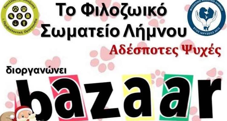 Τα Χριστούγεννα σκεφτόμαστε και τους τετράποδους συνοδοιπόρους μας!