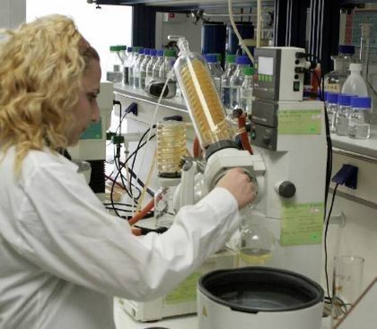 Ανεβαίνουν οι ελληνικές επιστημονικές δημοσιεύσεις