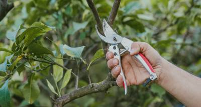 &Delta;ή&mu;&omicron;&sigmaf; &Lambda;ή&mu;&nu;&omicron;&upsilon;: &Kappa;ά&theta;&epsilon; &Tau;&rho;ί&tau;&eta; &kappa;&alpha;&iota; &Pi;έ&mu;&pi;&tau;&eta; &eta; &alpha;&pi;&omicron;&kappa;&omicron;&mu;&iota;&delta;ή &kappa;&lambda;&alpha;&delta;&iota;ώ&nu;