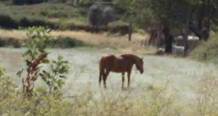 &Epsilon;&nu;&omicron;&chi;&lambda;&eta;&mu;έ&nu;&omicron;&iota; &kappa;ά&tau;&omicron;&iota;&kappa;&omicron;&iota; &tau;&eta;&sigmaf; &Mu;ύ&rho;&iota;&nu;&alpha;&sigmaf; &alpha;&pi;ό &tau;&eta; &sigma;&upsilon;&mu;&pi;&epsilon;&rho;&iota;&phi;&omicron;&rho;ά &iota;&delta;&iota;&omicron;&kappa;&tau;ή&tau;&eta; &alpha;&lambda;ό&gamma;&omicron;&upsilon;