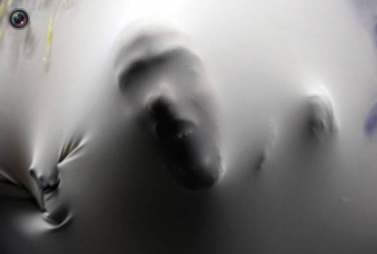 &laquo;&Zeta;ώ&nu;&tau;&alpha;&sigmaf; &mu;&epsilon; &tau;&eta; &sigma;&chi;&iota;&zeta;&omicron;&phi;&rho;έ&nu;&epsilon;&iota;&alpha;&raquo;