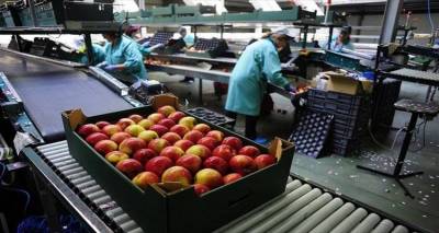 Τα ελληνικά φρούτα ροδάκινα, φράουλες και πορτοκάλια πάνε και πάλι στη Ρωσία