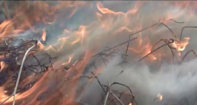 &Kappa;&omicron;&iota;&nu;&omega;&nu;&iota;&kappa;ό &mu;ή&nu;&upsilon;&mu;&alpha; &alpha;&pi;ό &tau;&omicron; &Pi;&upsilon;&rho;&omicron;&sigma;&beta;&epsilon;&sigma;&tau;&iota;&kappa;ό &Sigma;ώ&mu;&alpha; (video)