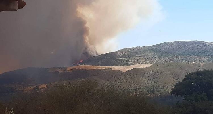 Μαίνεται η φωτιά στη Μάνη | Βίντεο δείχνει την πύρινη κόλαση