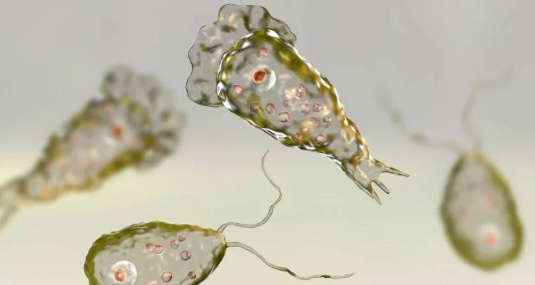 Ά&nu;&delta;&rho;&alpha;&sigmaf; &pi;έ&theta;&alpha;&nu;&epsilon; &alpha;&pi;ό &alpha;&mu;&omicron;&iota;&beta;ά&delta;&alpha; &pi;&omicron;&upsilon; &kappa;&alpha;&tau;&alpha;&sigma;&tau;&rho;έ&phi;&epsilon;&iota; &tau;&omicron;&nu; &epsilon;&gamma;&kappa;έ&phi;&alpha;&lambda;&omicron; |  &Epsilon;ί&chi;&epsilon; &kappa;ά&nu;&epsilon;&iota; &rho;&iota;&nu;&iota;&kappa;έ&sigmaf; &pi;&lambda;ύ&sigma;&epsilon;&iota;&sigmaf; &mu;&epsilon; &nu;&epsilon;&rho;ό &tau;&eta;&sigmaf; &beta;&rho;ύ&sigma;&eta;&sigmaf;