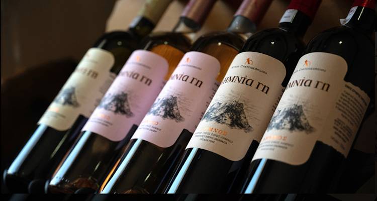 Οι Ευεργετικές ικανότητες του κρασιού για την Υγεία