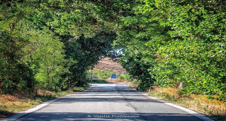 &Kappa;&lambda;&epsilon;ί&nu;&epsilon;&iota; &omicron; &delta;&rho;ό&mu;&omicron;&sigmaf; &gamma;&iota;&alpha; &Tau;&sigma;&iota;&mu;ά&nu;&delta;&rho;&iota;&alpha;