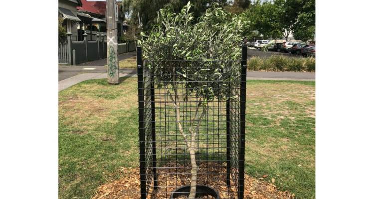 &Nu;έ&omicron; &epsilon;&lambda;&alpha;&iota;ό&delta;&epsilon;&nu;&tau;&rho;&omicron; &sigma;&tau;&eta;&nu; &Pi;&lambda;&alpha;&tau;&epsilon;ί&alpha; &Lambda;ή&mu;&nu;&omicron;&upsilon; Albert Park