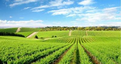 Ανακοινώθηκαν τα ονόματα των δικαιούχων και απορριπτόμενων βιοκαλλιεργητών της Λήμνου