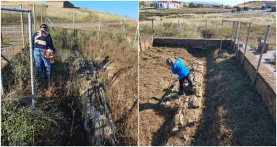 Επιστολή διαμαρτυρίας για την εγκατάλειψη του απολιθωμένου κορμού στο Βάρος Λήμνου