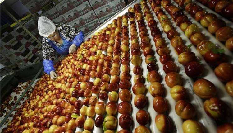 ΟΗΕ: Πετάμε φαγητό αξίας 570 δισεκατομμυρίων ευρώ κάθε χρόνο