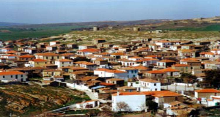 &Chi;&omega;&rho;ί&sigmaf; &rho;&epsilon;ύ&mu;&alpha; &tau;&eta;&nu; &Pi;&alpha;&rho;&alpha;&sigma;&kappa;&epsilon;&upsilon;ή &tau;&omicron; &Beta;ά&rho;&omicron;&sigmaf;