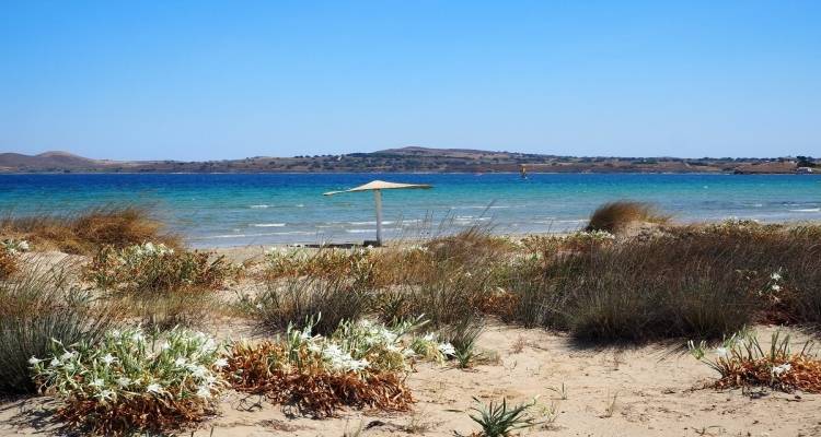 &Omicron; &kappa;&alpha;&iota;&rho;ό&sigmaf; &sigma;&tau;&eta; &Lambda;ή&mu;&nu;&omicron; &tau;&eta;&nu; &Pi;έ&mu;&pi;&tau;&eta; 23 &Iota;&omicron;&upsilon;&lambda;ί&omicron;&upsilon; | &Pi;&rho;ό&sigma;&kappa;&alpha;&iota;&rho;&epsilon;&sigmaf; &nu;&epsilon;&phi;ώ&sigma;&epsilon;&iota;&sigmaf; &tau;&iota;&sigmaf; &pi;&rho;ώ&tau;&epsilon;&sigmaf; ώ&rho;&epsilon;&sigmaf; &kappa;&alpha;&iota; &epsilon;&nu;&iota;&sigma;&chi;&upsilon;&mu;έ&nu;&omicron;&iota; &beta;ό&rho;&epsilon;&iota;&omicron;&iota; ά&nu;&epsilon;&mu;&omicron;&iota;