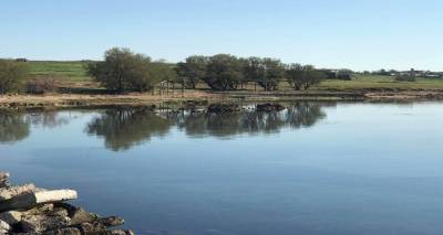 Εθελοντικός καθαρισμός στην παραλία Καλλιθέας