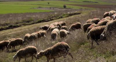 &Lambda;ή&mu;&nu;&omicron;&sigmaf;: &Pi;&alpha;&rho;&alpha;&iota;&tau;ή&theta;&eta;&kappa;&epsilon; &kappa;&alpha;&iota; &eta; &delta;&epsilon;ύ&tau;&epsilon;&rho;&eta; &kappa;&tau;&eta;&nu;ί&alpha;&tau;&rho;&omicron;&sigmaf; | &Epsilon;&pi;&iota;&sigma;ή&mu;&omega;&sigmaf; &theta;&epsilon;&tau;&iota;&kappa;ά &tau;&alpha; &delta;ύ&omicron; &chi;&theta;&epsilon;&sigma;&iota;&nu;ά &delta;&epsilon;ί&gamma;&mu;&alpha;&tau;&alpha; | &Delta;&eta;&lambda;ώ&sigma;&epsilon;&iota;&sigmaf; &Tau;&sigma;&omicron;&mu;&pi;&alpha;&nu;έ&lambda;&lambda;&eta; - &Tau;&zeta;&alpha;&rho;ί&mu;&eta;