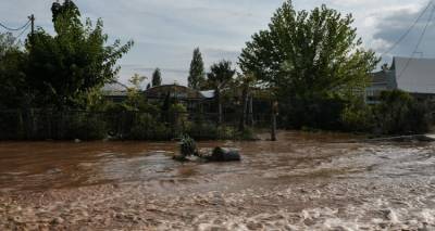 &Tau;&rho;&epsilon;&iota;&sigmaf; &omicron;&iota; &nu;&epsilon;&kappa;&rho;&omicron;ί &alpha;&pi;ό &tau;&eta;&nu; &kappa;&alpha;&kappa;&omicron;&kappa;&alpha;&iota;&rho;ί&alpha;: &Eta; &Epsilon;&Mu;&Alpha;&Kappa; &beta;&rho;ή&kappa;&epsilon; &tau;&omicron;&nu; 62&chi;&rho;&omicron;&nu;&omicron; &sigma;&tau;&eta;&nu; &Kappa;&alpha;&sigma;&tau;&alpha;&nu;&iota;ά &Kappa;&alpha;&rho;&delta;ί&tau;&sigma;&alpha;&sigmaf;