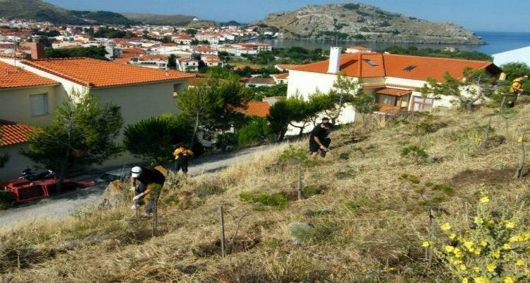 Η Ένωση  φίλων ΑΕΚ Λήμνου συνεχίζει την εθελοντική δράση (photos)