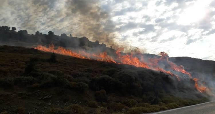 Φωτογραφία: Ελένη Ροδανού