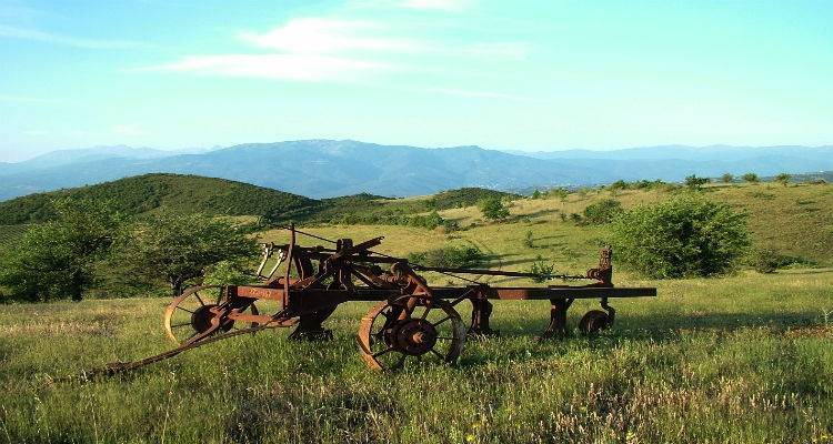 Διευκρινήσεις προς τους βιοκαλλιεργητές της Λήμνου από την Διευθ. Αγροτικής Οικονομίας