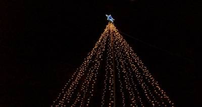 &Tau;&omicron; &Theta;ά&nu;&omicron;&sigmaf; &alpha;&nu;ά&beta;&epsilon;&iota; &tau;&omicron; &chi;&rho;&iota;&sigma;&tau;&omicron;&upsilon;&gamma;&epsilon;&nu;&nu;&iota;ά&tau;&iota;&kappa;&omicron; &delta;έ&nu;&tau;&rho;&omicron; &tau;&omicron;&upsilon;