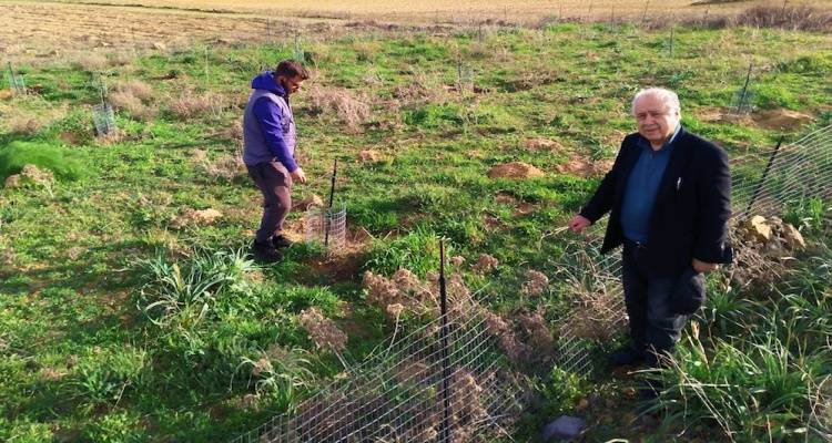 Αυτοψία Παρασκευαΐδη στα κατεστραμμένα χωράφια της Λήμνου