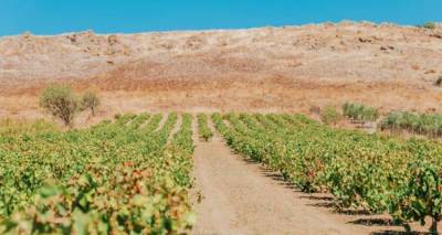 MedINA: &Kappa;&alpha;&lambda;ή &Pi;&rho;&alpha;&kappa;&tau;&iota;&kappa;ή &Delta;&iota;&alpha;&phi;ύ&lambda;&alpha;&xi;&eta;&sigmaf; &tau;&eta;&sigmaf; Ά&upsilon;&lambda;&eta;&sigmaf; &Pi;&omicron;&lambda;&iota;&tau;&iota;&sigma;&tau;&iota;&kappa;ή&sigmaf; &Kappa;&lambda;&eta;&rho;&omicron;&nu;&omicron;&mu;&iota;ά&sigmaf; &tau;&omicron; έ&rho;&gamma;&omicron; &sigma;&tau;&eta; &Lambda;ή&mu;&nu;&omicron;