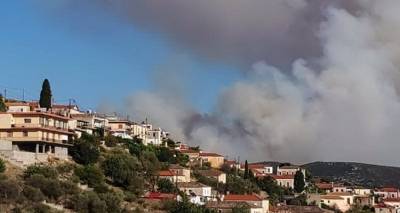 &Phi;&omega;&tau;&iota;ά &sigma;&tau;&eta; &Mu;ά&nu;&eta;: &Delta;&iota;ά&sigma;&pi;&alpha;&rho;&tau;&epsilon;&sigmaf; &omicron;&iota; &epsilon;&sigma;&tau;ί&epsilon;&sigmaf; - &Kappa;&rho;ί&sigma;&iota;&mu;&epsilon;&sigmaf; &omicron;&iota; &epsilon;&pi;ό&mu;&epsilon;&nu;&epsilon;&sigmaf; ώ&rho;&epsilon;&sigmaf;