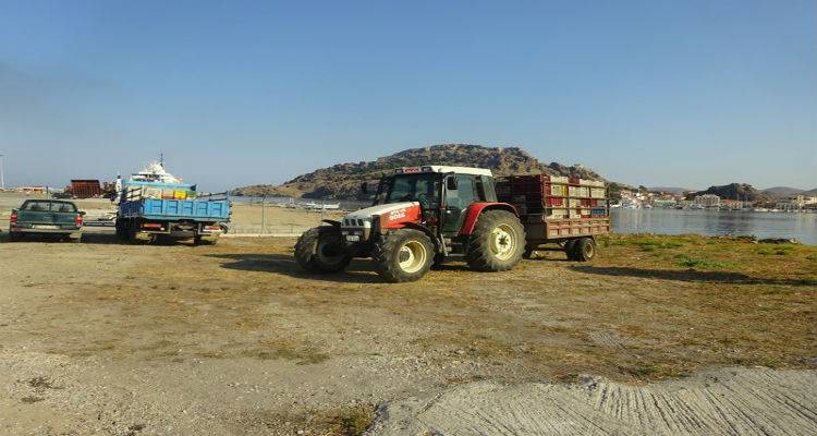 ΚΕΟΣΟΕ: Εξαίρεση τη φετινή χρονιά η Λήμνος. | Η καλύτερη συγκομιδή σταφυλιών των τελευταίων τριών ετών