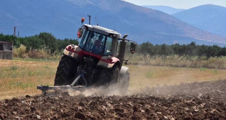 ΟΠΕΚΕΠΕ: Στη φυλακή ο «εγκέφαλος» του κυκλώματος με τις παράνομες ευρωπαϊκές επιδοτήσεις -«Παραδέχομαι ό,τι έχω κάνει...»