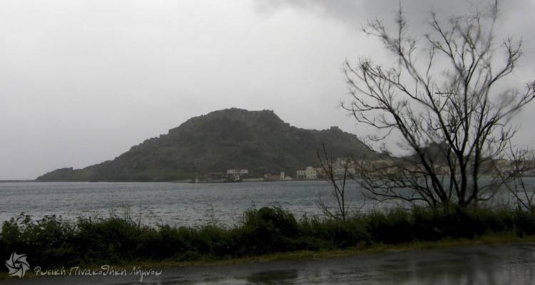 &Epsilon;&Mu;&Upsilon;: &Nu;έ&omicron; έ&kappa;&tau;&alpha;&kappa;&tau;&omicron; &delta;&epsilon;&lambda;&tau;ί&omicron; &gamma;&iota;&alpha; &tau;&eta;&nu; &alpha;&lambda;&lambda;&alpha;&gamma;ή &tau;&omicron;&upsilon; &kappa;&alpha;&iota;&rho;&omicron;ύ.
