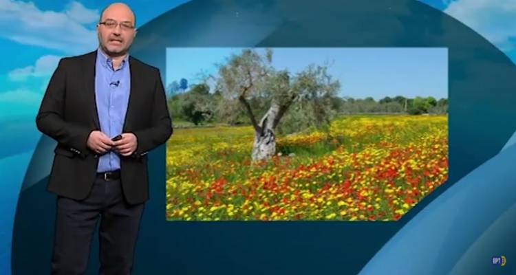 &Eta; &pi;&rho;ό&gamma;&nu;&omega;&sigma;&eta; &tau;&omicron;&upsilon; &kappa;&alpha;&iota;&rho;&omicron;ύ &alpha;&pi;ό &tau;&omicron;&nu; &Sigma;ά&kappa;&eta; &Alpha;&rho;&nu;&alpha;&omicron;ύ&tau;&omicron;&gamma;&lambda;&omicron;&upsilon; (video)