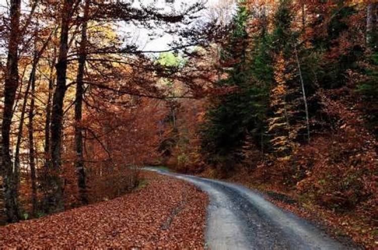συνάρτηση μιας νεκρώσιμης ακολουθίας