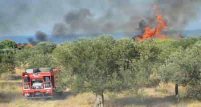 &Kappa;έ&rho;&kappa;&upsilon;&rho;&alpha;: &Gamma;&iota;&alpha; &epsilon;&mu;&pi;&rho;&eta;&sigma;&mu;ό &alpha;&pi;ό &pi;&rho;ό&theta;&epsilon;&sigma;&eta; &kappa;&alpha;&tau;&eta;&gamma;&omicron;&rho;&omicron;ύ&nu;&tau;&alpha;&iota; &tau;&rho;&epsilon;&iota;&sigmaf; ά&nu;&delta;&rho;&epsilon;&sigmaf;