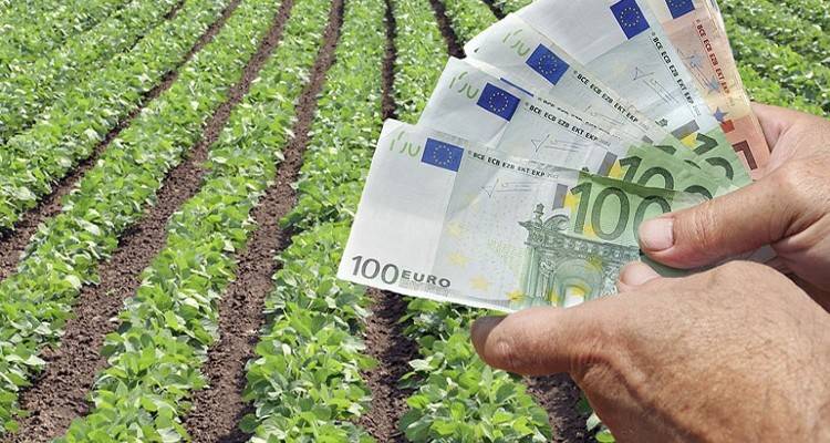 Άνοιξε η πλατφόρμα για τους νέους αγρότες - Έως 40.000 € σε κάθε ωφελούμενο