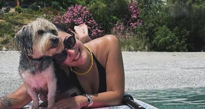 Η Λένα Μανδανισιώτη ξέρει ποιος έβαλε φόλες στην Κύθνο και σκότωσε τον σκύλο της