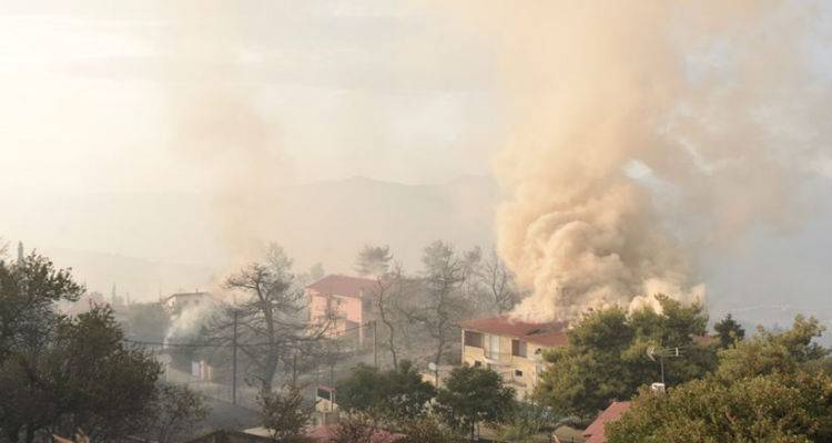 &Pi;ύ&rho;&iota;&nu;&eta; &kappa;ό&lambda;&alpha;&sigma;&eta; &sigma;&tau;&omicron;&nu; &Kappa;ά&lambda;&alpha;&mu;&omicron;: &Kappa;ά&eta;&kappa;&alpha;&nu; &sigma;&pi;ί&tau;&iota;&alpha; | &Tau;&rho;&alpha;&upsilon;&mu;&alpha;&tau;ί&sigma;&tau;&eta;&kappa;&epsilon; &omicron; &sigma;&tau;&rho;&alpha;&tau;&eta;&gamma;ό&sigmaf; &Gamma;&iota;ό&beta;&alpha;&sigmaf; &tau;&eta;&sigmaf; &Pi;&upsilon;&rho;&omicron;&sigma;&beta;&epsilon;&sigma;&tau;&iota;&kappa;ή&sigmaf;