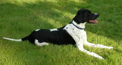 &Phi;&omega;&tau;&omicron;&gamma;&rho;&alpha;&phi;ί&alpha; &alpha;&rho;&chi;&epsilon;ί&omicron;&upsilon;