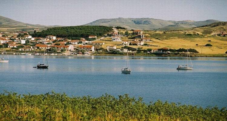 «Ώρα για δράση. Ώρα για εθελοντισμό» | Καθαρισμός αλσυλλίου Νέας Κούταλης
