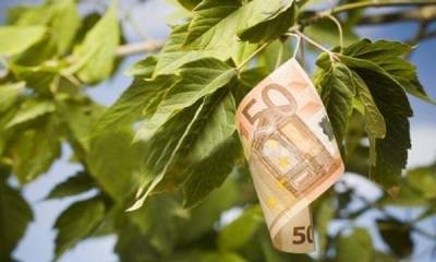 Οι φυλές της μπάλας και το έθνος