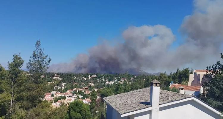 &Phi;&omega;&tau;&iota;ά &sigma;&tau;&eta; &Sigma;&tau;&alpha;&mu;ά&tau;&alpha; &kappa;&omicron;&nu;&tau;ά &sigma;&epsilon; &sigma;&pi;ί&tau;&iota;&alpha; | &Epsilon;&kappa;&kappa;&epsilon;&nu;ώ&nu;&omicron;&nu;&tau;&alpha;&iota; &Alpha;&mu;&upsilon;&gamma;&delta;&alpha;&lambda;έ&zeta;&alpha;, &Gamma;&alpha;&lambda;ή&nu;&eta; &kappa;&alpha;&iota; &Rho;&omicron;&delta;ό&pi;&omicron;&lambda;&eta;