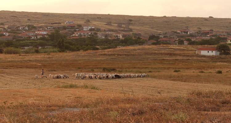Φίλοι Παλιάς Μητρόπολης: Επίσκεψη στις γούβες του Ρωμανού