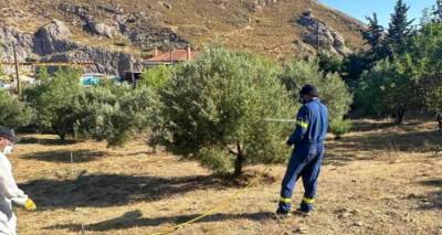 &Xi;&epsilon;&kappa;&iota;&nu;ά &omicron; 3&omicron;&sigmaf; &kappa;ύ&kappa;&lambda;&omicron;&sigmaf; &delta;&alpha;&kappa;&omicron;&kappa;&tau;&omicron;&nu;ί&alpha;&sigmaf; &sigma;&tau;&eta; &Lambda;ή&mu;&nu;&omicron; | &Tau;&omicron; &pi;&lambda;ή&rho;&epsilon;&sigmaf; &pi;&rho;ό&gamma;&rho;&alpha;&mu;&mu;&alpha; &alpha;&nu;ά &kappa;&omicron;&iota;&nu;ό&tau;&eta;&tau;&alpha;