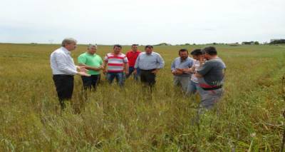 &Kappa;&alpha;&tau;&alpha;&gamma;&rho;&alpha;&phi;ή &zeta;&eta;&mu;&iota;ώ&nu; &sigma;&tau;&alpha; &sigma;&iota;&tau;&eta;&rho;ά &tau;&omicron;&upsilon; &tau;.&Delta;ή&mu;&omicron;&upsilon; &Alpha;&tau;&sigma;&iota;&kappa;ή&sigmaf; &alpha;&pi;ό &tau;&alpha; ά&gamma;&rho;&iota;&alpha; &kappa;&omicron;&upsilon;&nu;έ&lambda;&iota;&alpha;
