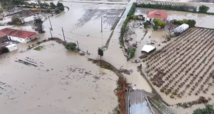 &Delta;ή&mu;&omicron;&sigmaf; &Lambda;ή&mu;&nu;&omicron;&upsilon;: &Omicron;&lambda;&omicron;&kappa;&lambda;&eta;&rho;ώ&theta;&eta;&kappa;&alpha;&nu; &omicron;&iota; &alpha;&pi;&omicron;&zeta;&eta;&mu;&iota;ώ&sigma;&epsilon;&iota;&sigmaf; &gamma;&iota;&alpha; &tau;&eta;&nu; &kappa;&alpha;&kappa;&omicron;&kappa;&alpha;&iota;&rho;ί&alpha; BORA | 63.654 &epsilon;&upsilon;&rho;ώ &sigma;&epsilon; 33 &delta;&iota;&kappa;&alpha;&iota;&omicron;ύ&chi;&omicron;&upsilon;&sigmaf;