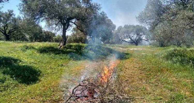Ξεκινάει από αύριο η καύση υπολειμμάτων των κλαδεμάτων