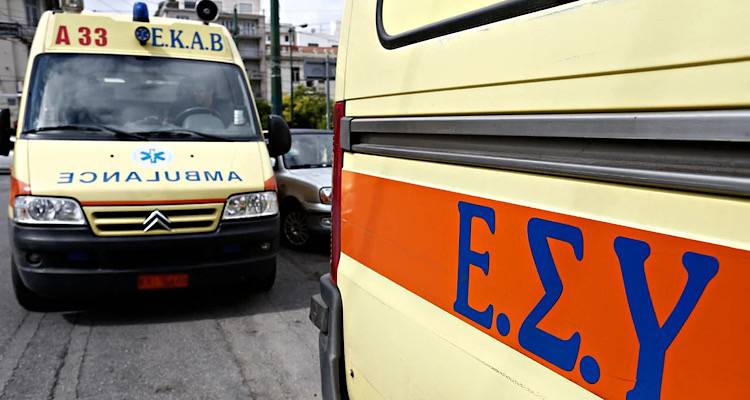 &Phi;&rho;ί&kappa;&eta; &sigma;&tau;&eta; &Theta;&epsilon;&sigma;&sigma;&alpha;&lambda;&omicron;&nu;ί&kappa;&eta;: &Sigma;&kappa;&upsilon;&lambda;&iota;ά &kappa;&alpha;&tau;&alpha;&sigma;&pi;ά&rho;&alpha;&xi;&alpha;&nu; &gamma;&upsilon;&nu;&alpha;ί&kappa;&alpha; - &Sigma;&upsilon;&nu;&epsilon;&lambda;ή&phi;&theta;&eta; &omicron; &iota;&delta;&iota;&omicron;&kappa;&tau;ή&tau;&eta;&sigmaf; &tau;&omicron;&upsilon;&sigmaf;