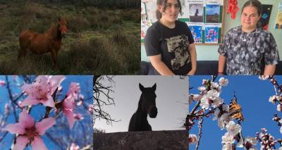 Διάκριση για το Γυμνάσιο Μούδρου στον 2ο Διανησιωτικό Φωτογραφικό Διαγωνισμό