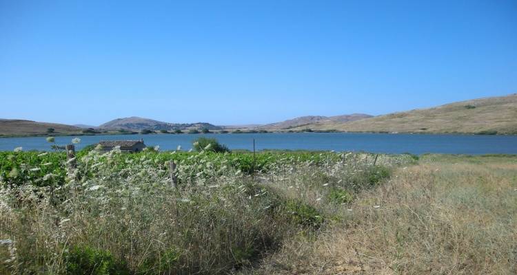 Λειψυδρία: Το υπουργείο Εσωτερικών δίνει στους δήμους 11,25 εκατ. ευρώ για την αντιμετώπιση του προβλήματος